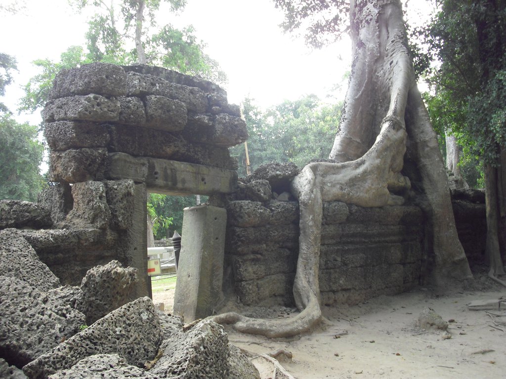 Image CIMG3324.JPG