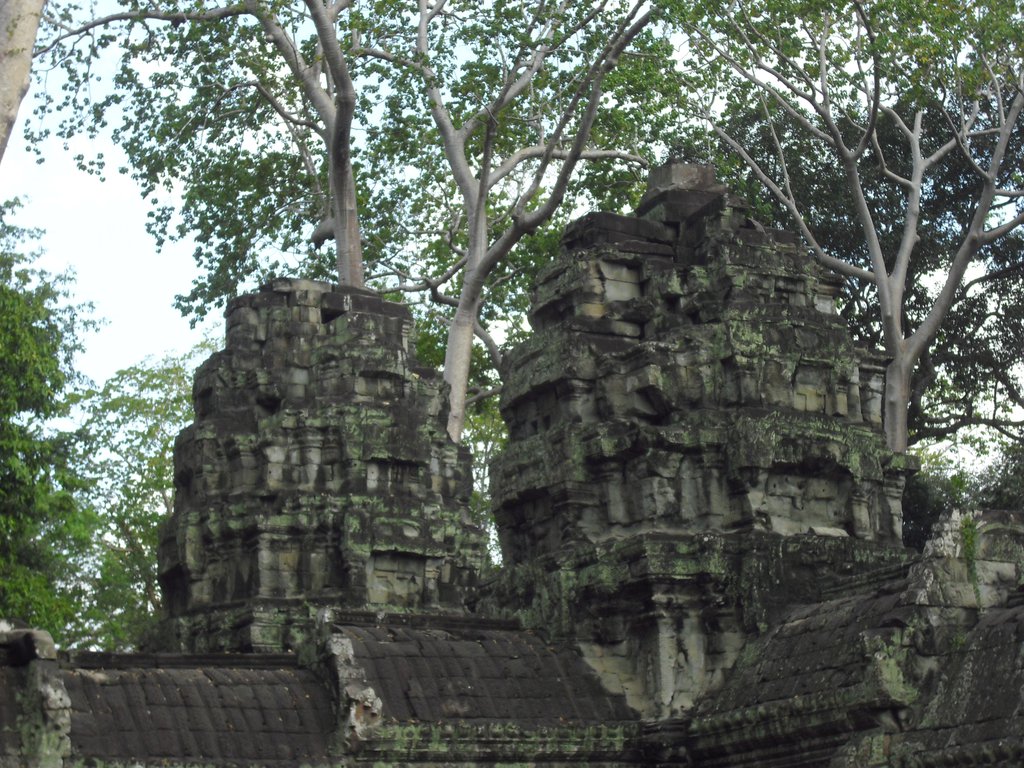Image CIMG3326.JPG