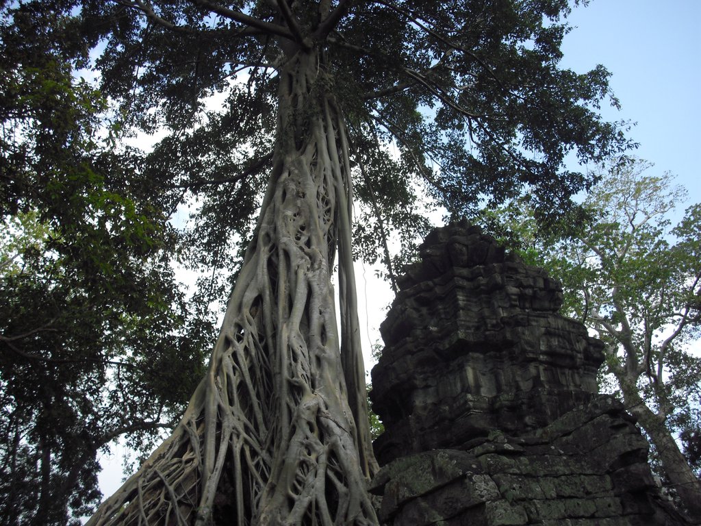 Image CIMG3331.JPG