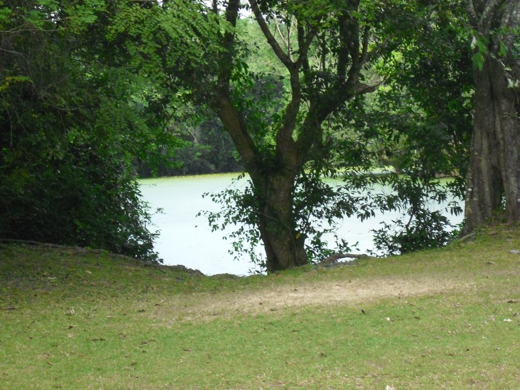 Image CIMG3345.JPG