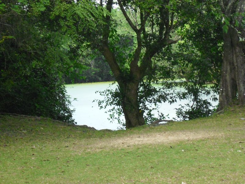 Image CIMG3345.JPG