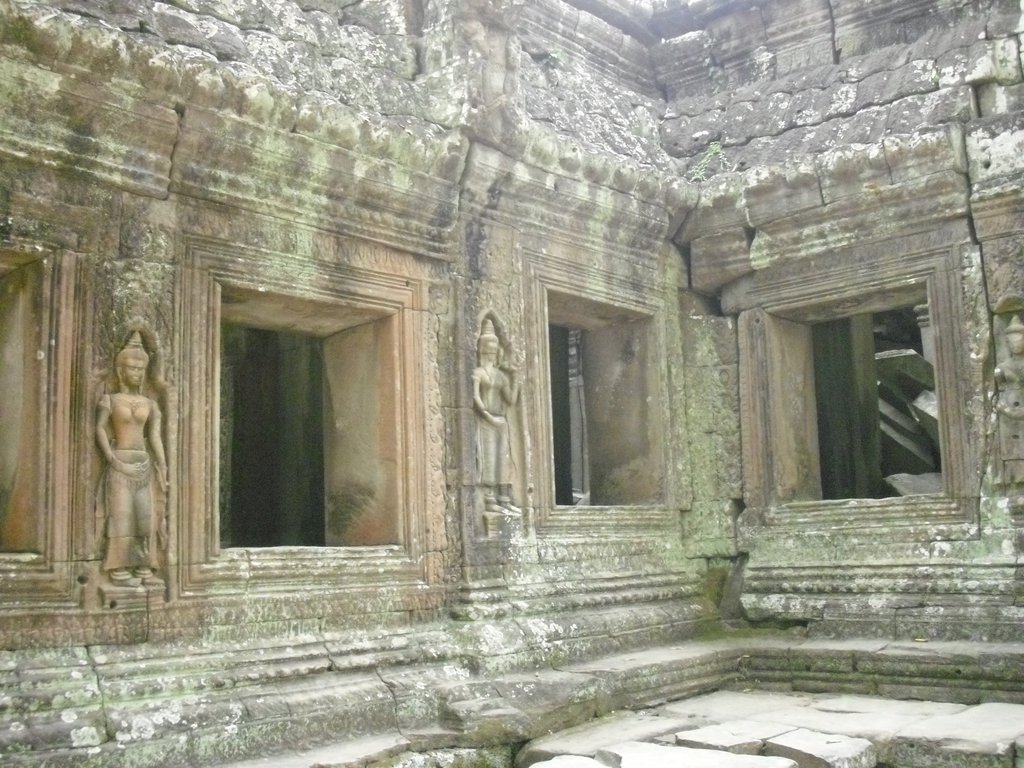 Image CIMG3346.JPG