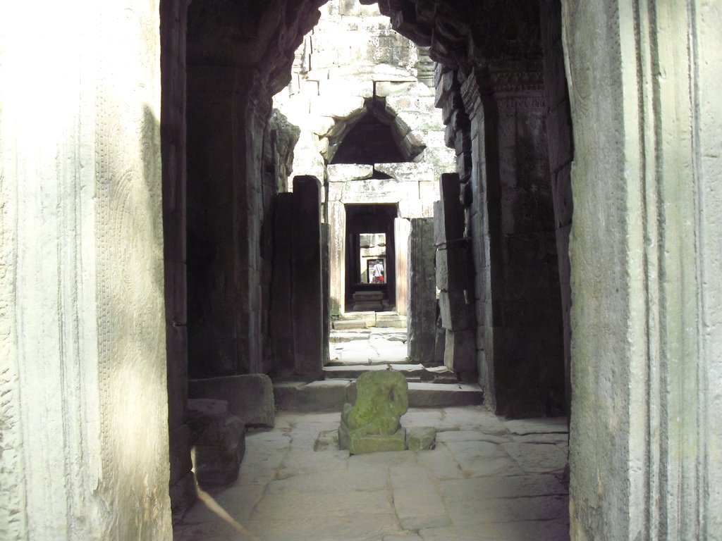 Image CIMG3349.JPG