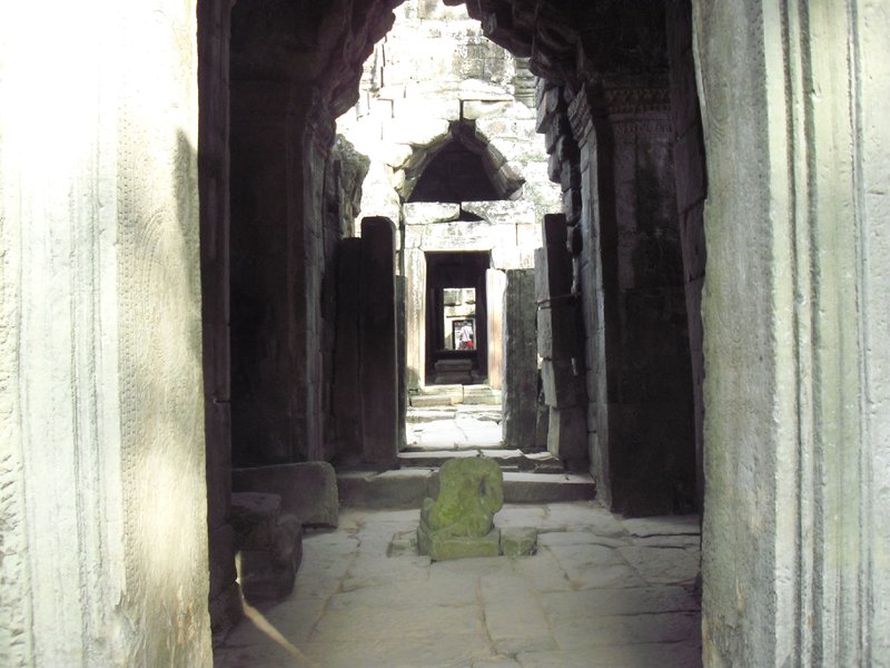 Image CIMG3349.JPG
