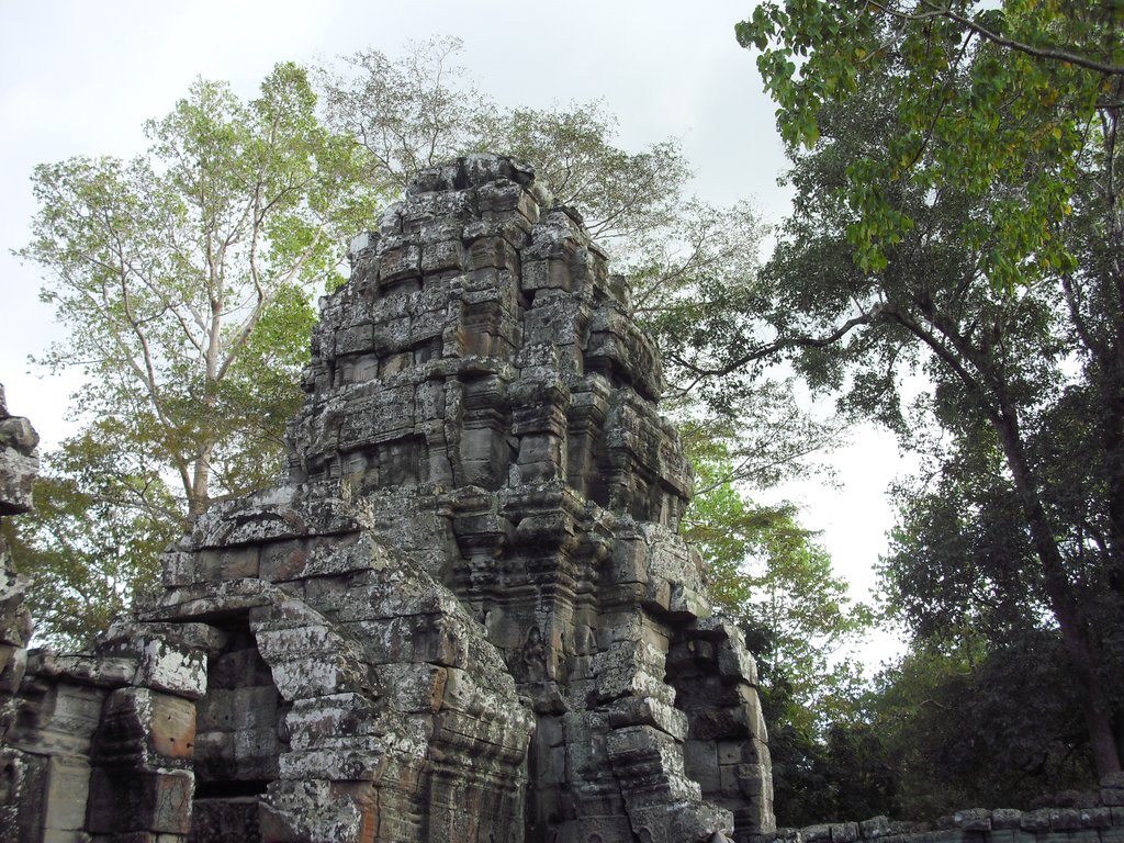 Image CIMG3353.JPG