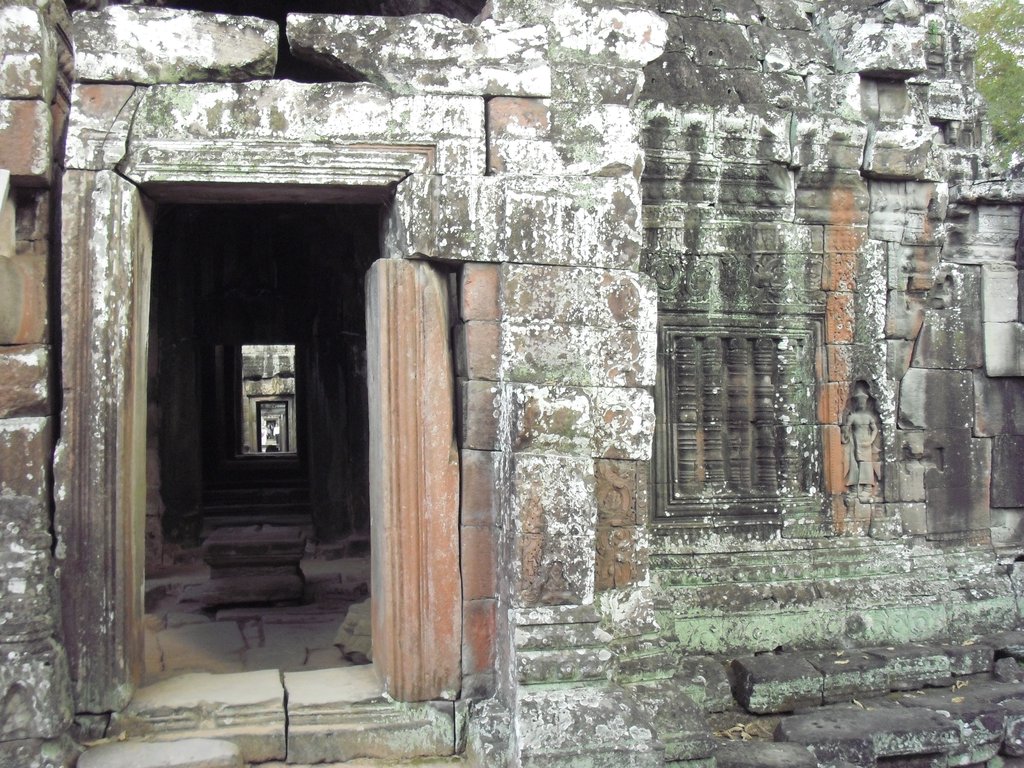 Image CIMG3354.JPG