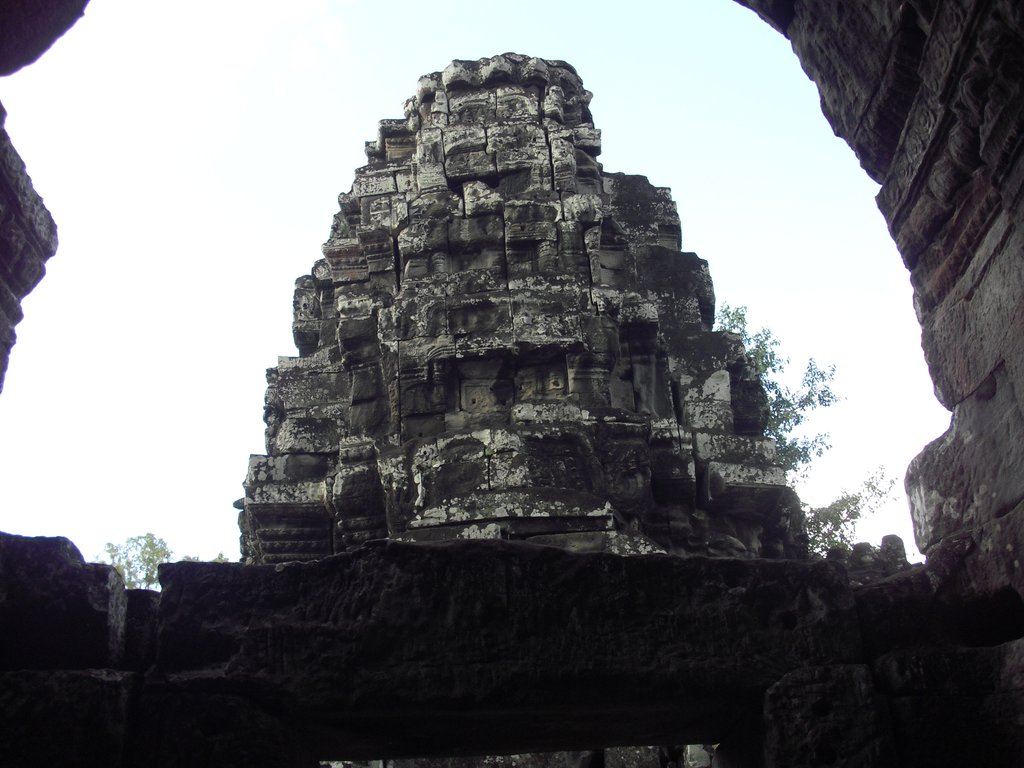 Image CIMG3356.JPG