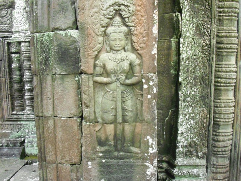 Image CIMG3358.JPG