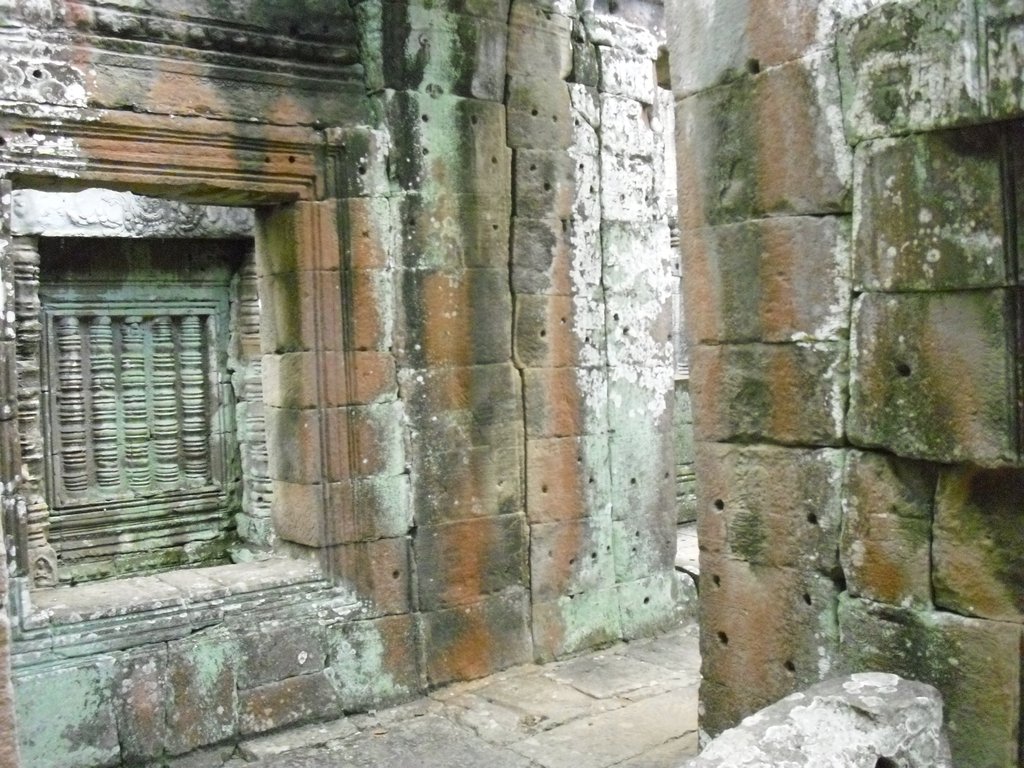 Image CIMG3359.JPG