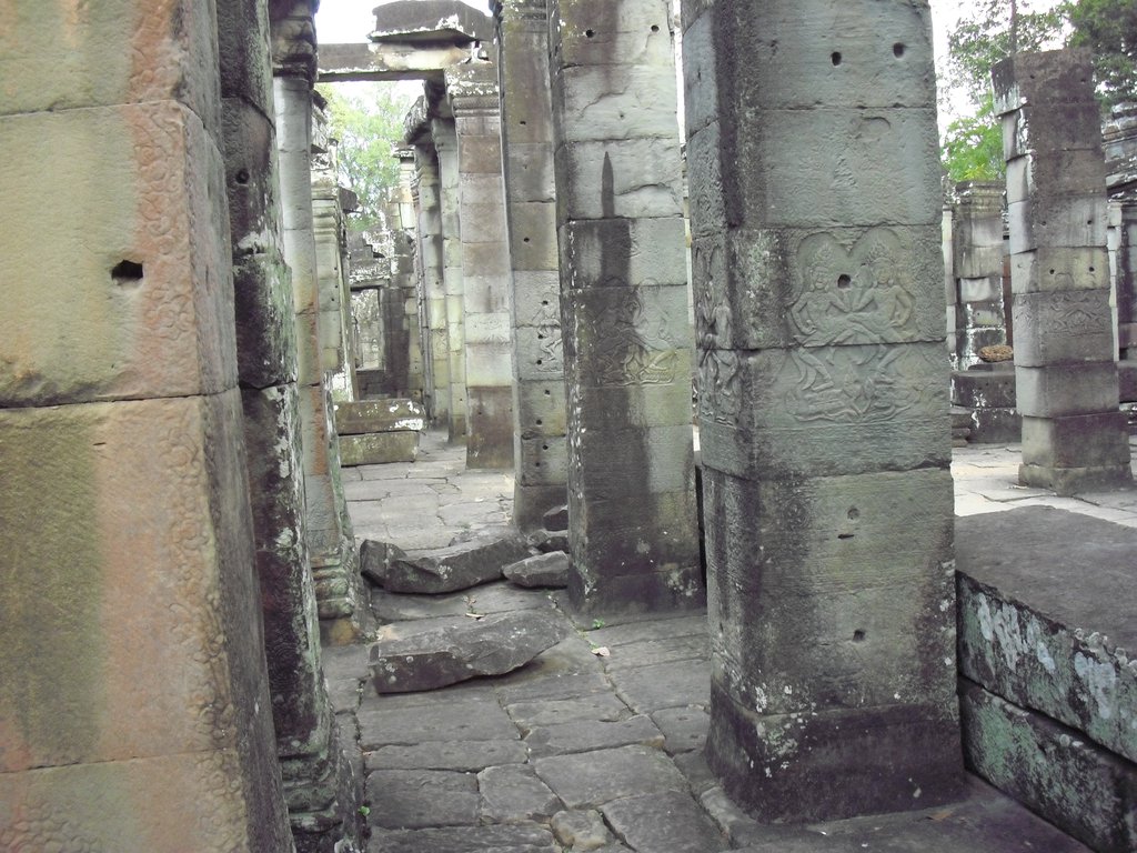 Image CIMG3367.JPG