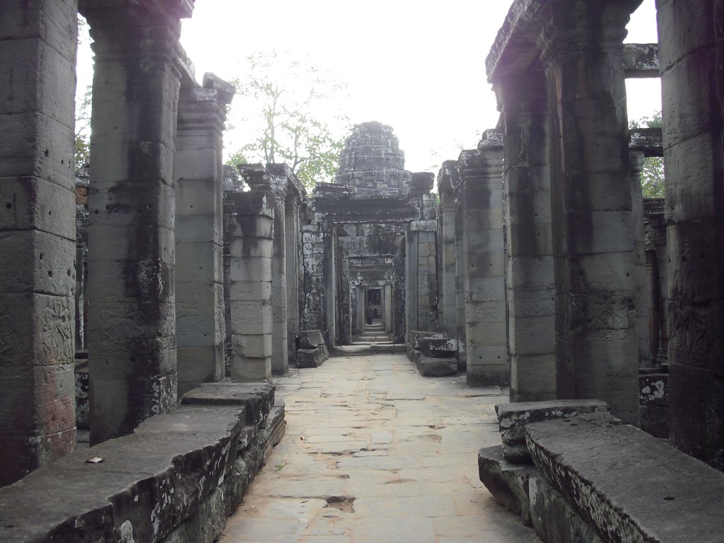 Image CIMG3381.JPG