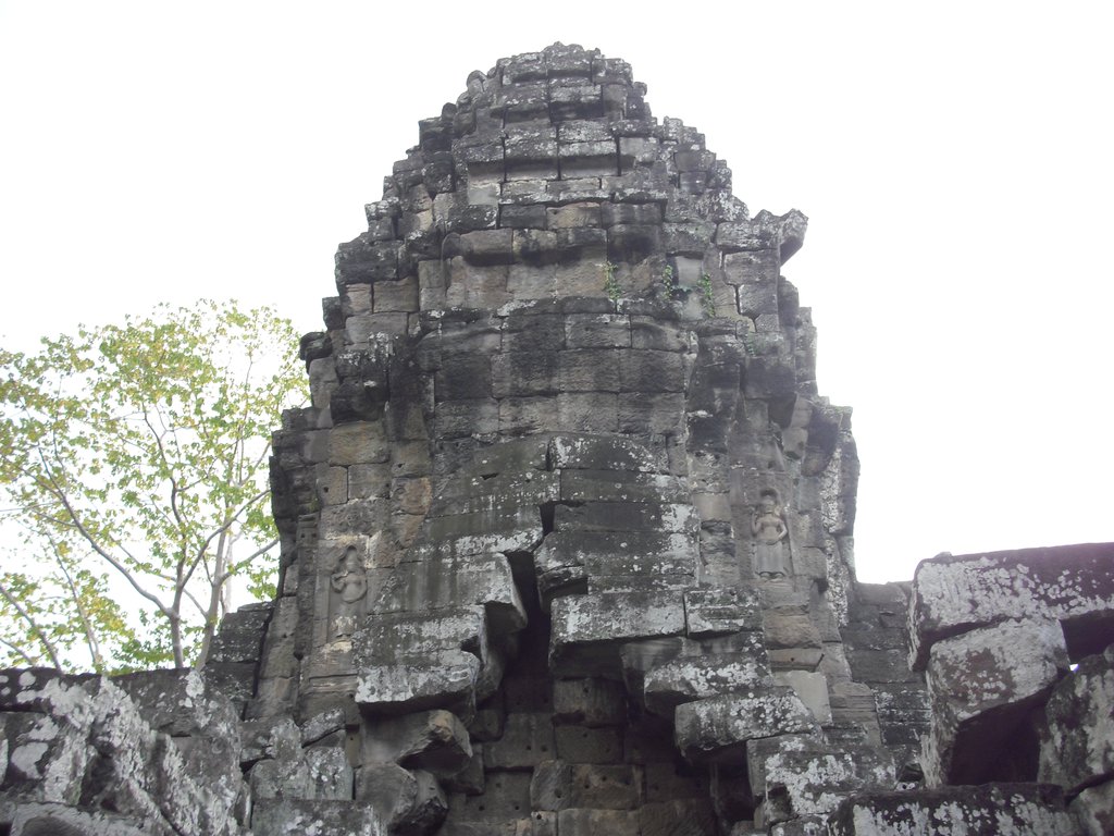 Image CIMG3382.JPG