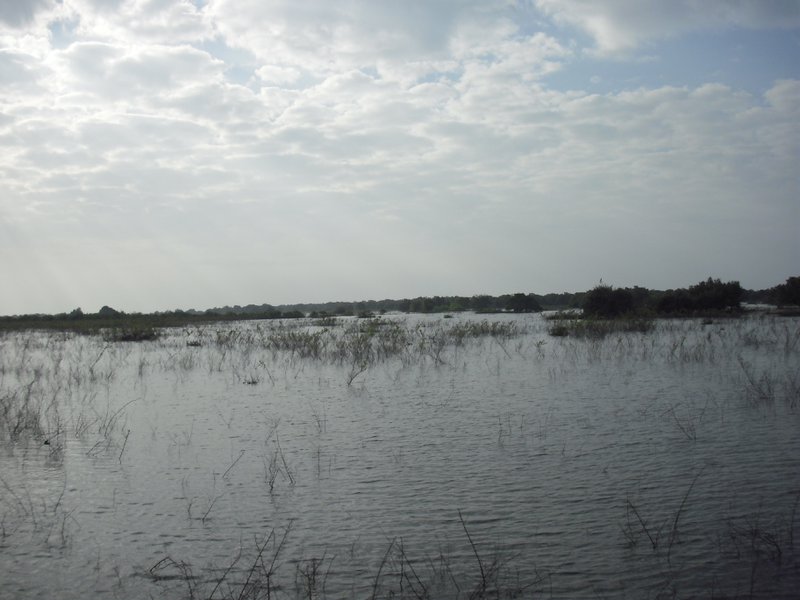 Image CIMG3404.JPG