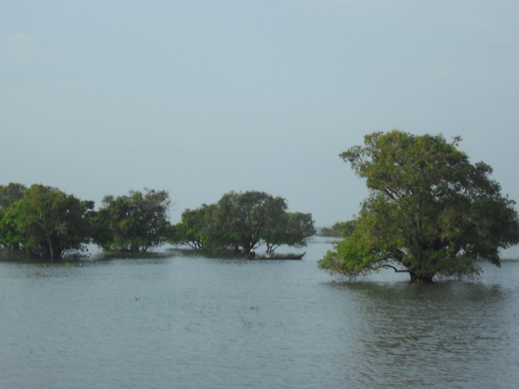 Image CIMG3406.JPG