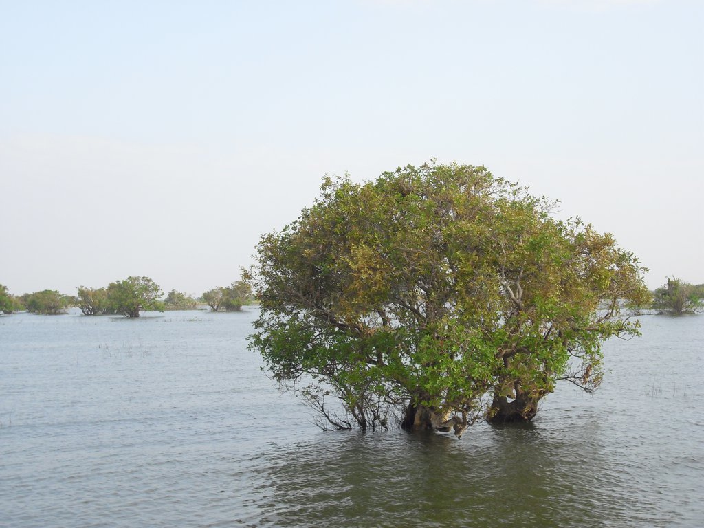 Image CIMG3407.JPG