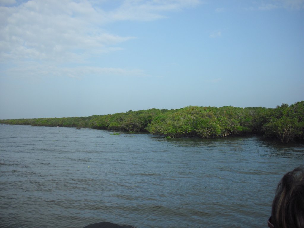 Image CIMG3408.JPG