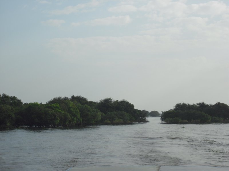 Image CIMG3409.JPG