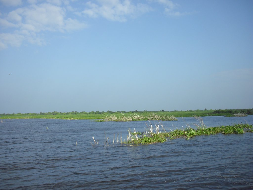 Image CIMG3410.JPG