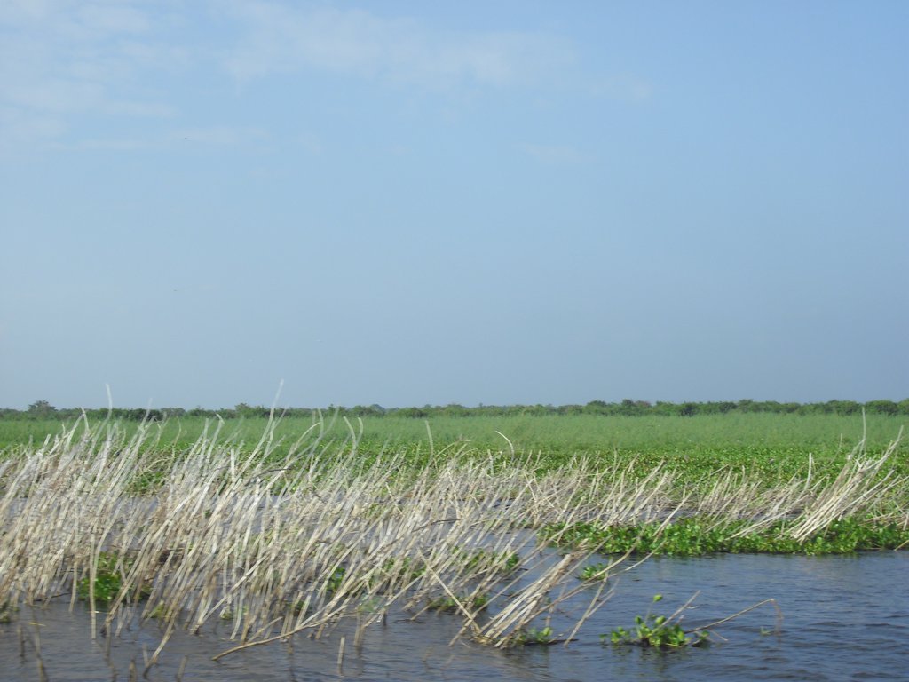 Image CIMG3411.JPG
