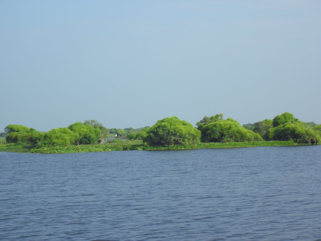 Image CIMG3413.JPG