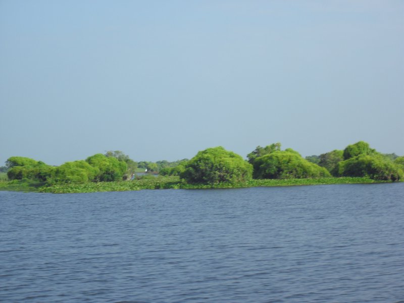 Image CIMG3413.JPG