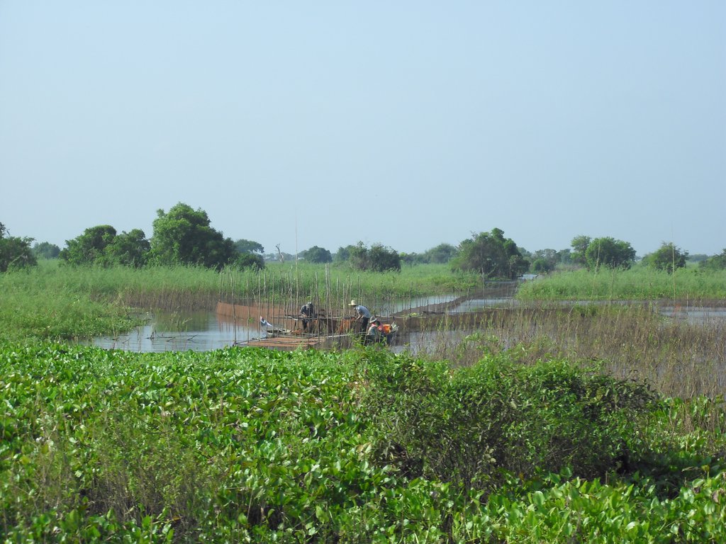Image CIMG3414.JPG