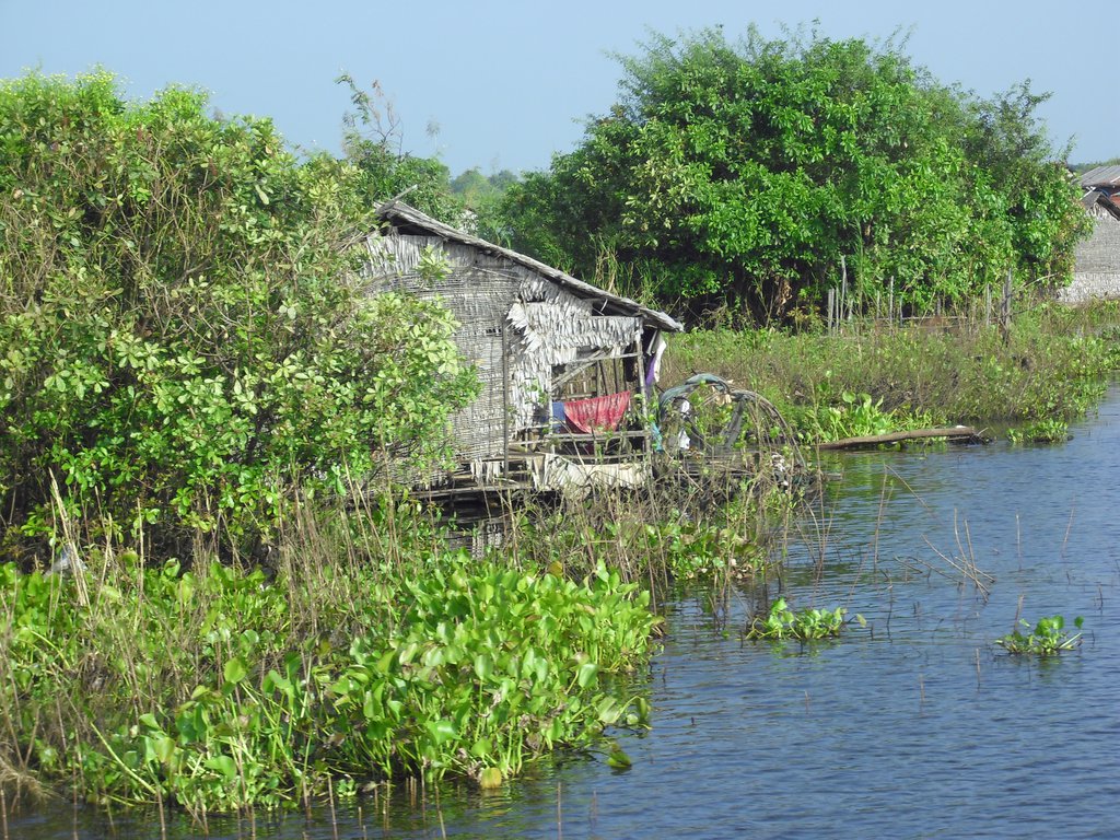 Image CIMG3419.JPG