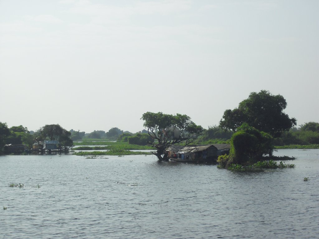 Image CIMG3437.JPG