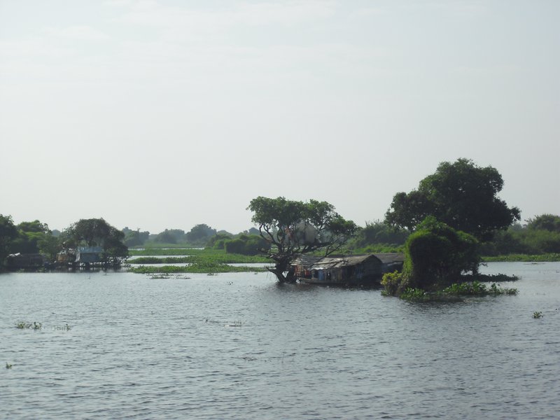 Image CIMG3437.JPG