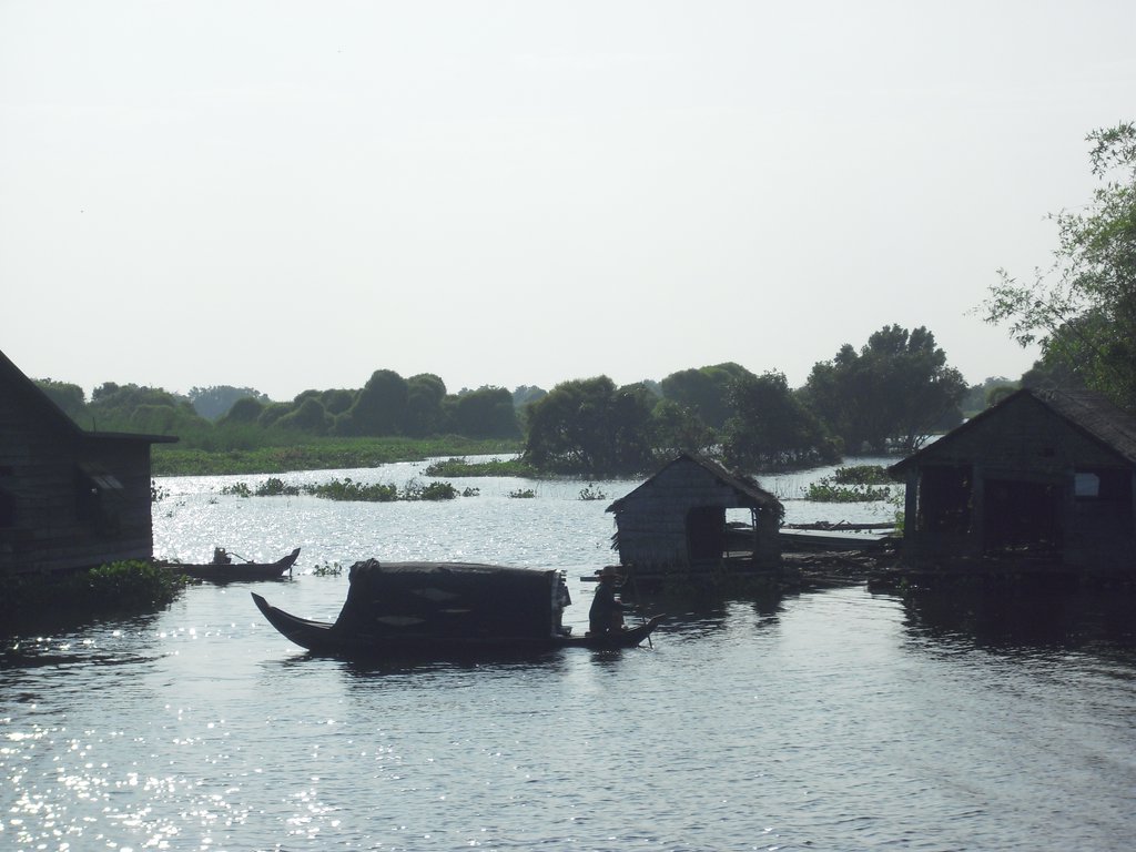 Image CIMG3441.JPG