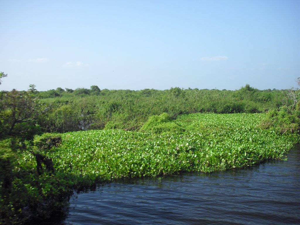 Image CIMG3445.JPG