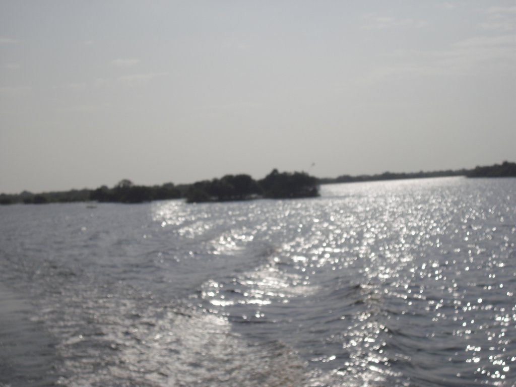 Image CIMG3446.JPG