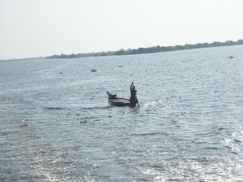 Image CIMG3448.JPG