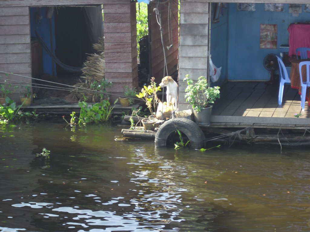 Image CIMG3452.JPG