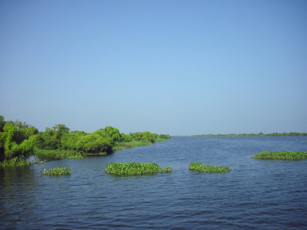 Image CIMG3453.JPG