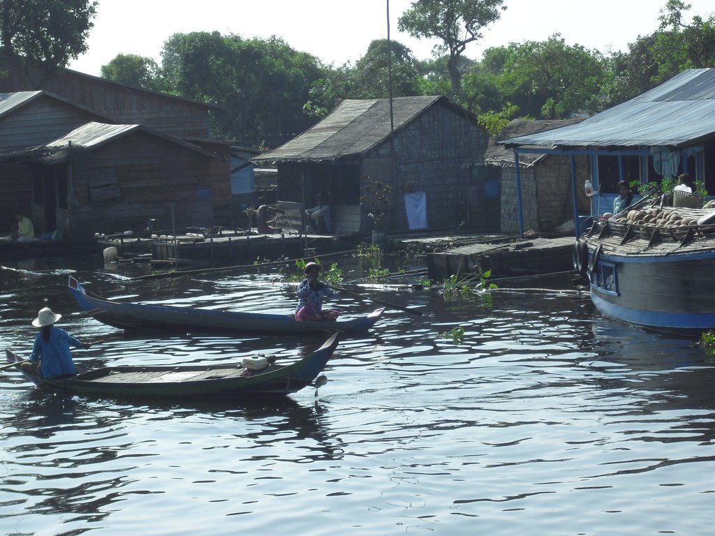 Image CIMG3462.JPG