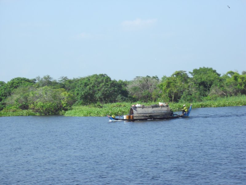 Image CIMG3472.JPG