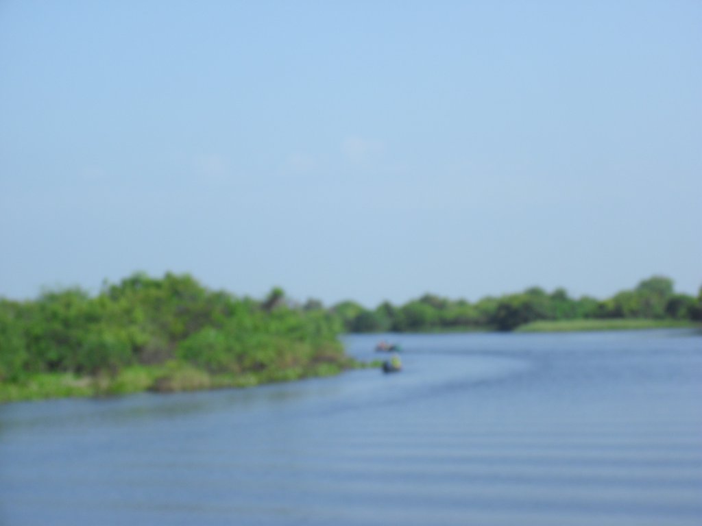 Image CIMG3477.JPG