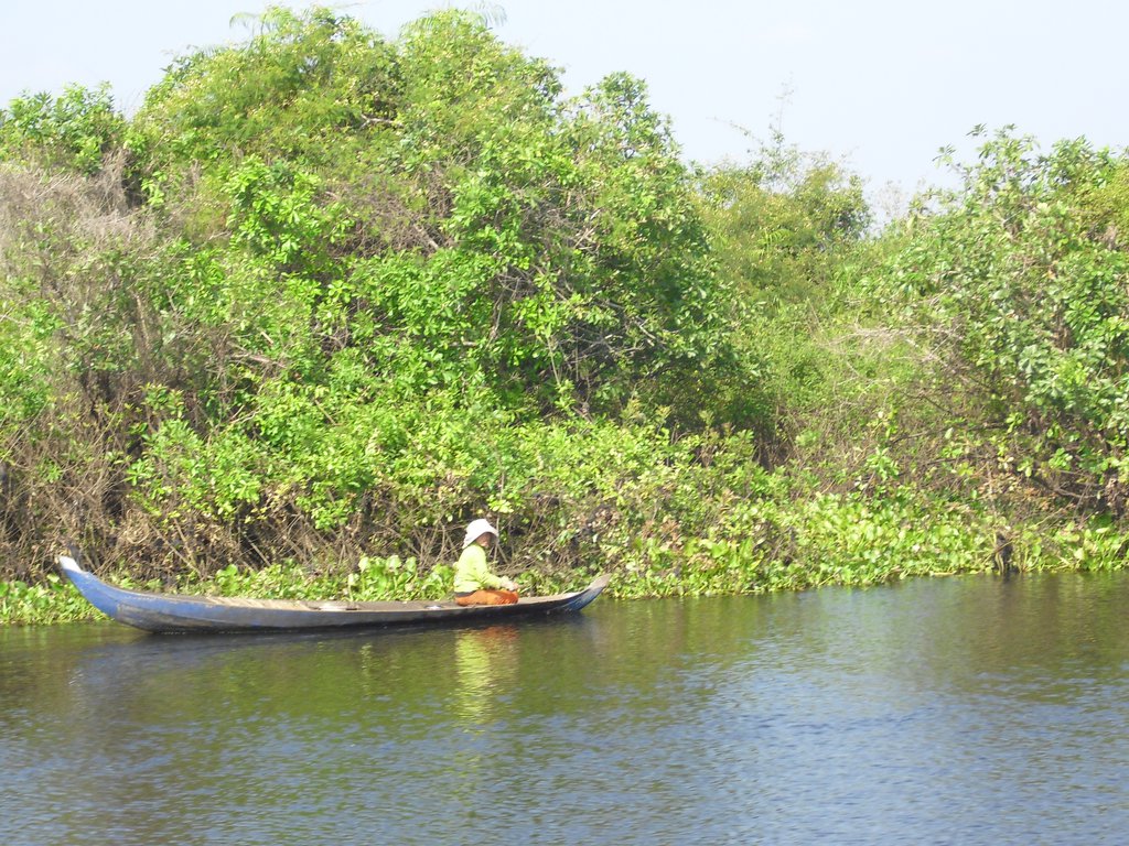 Image CIMG3478.JPG