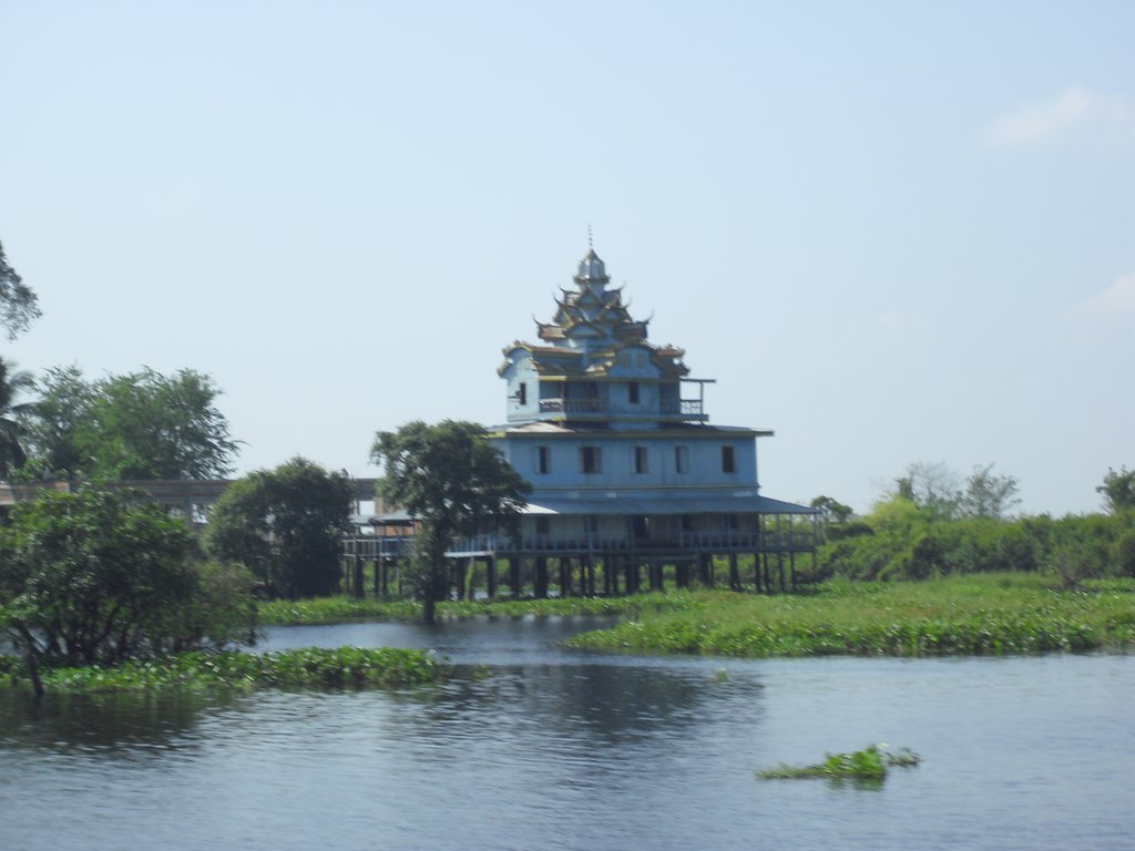 Image CIMG3494.JPG