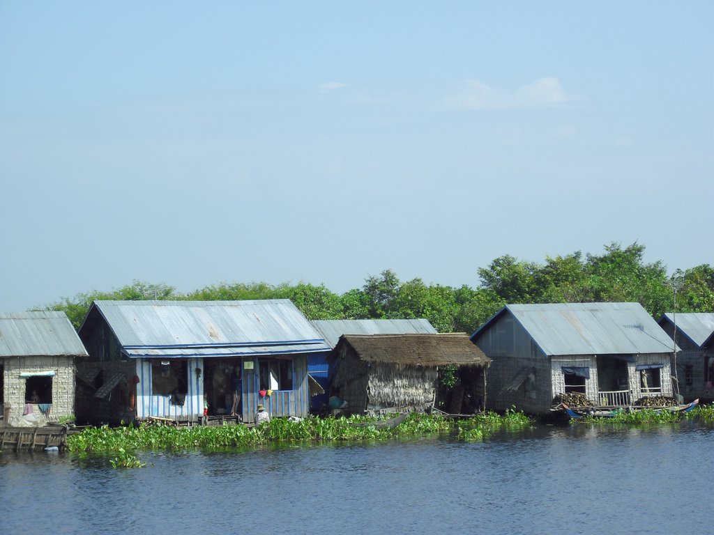 Image CIMG3497.JPG
