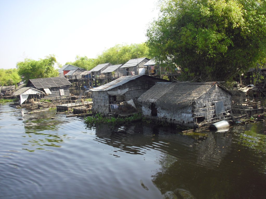 Image CIMG3509.JPG
