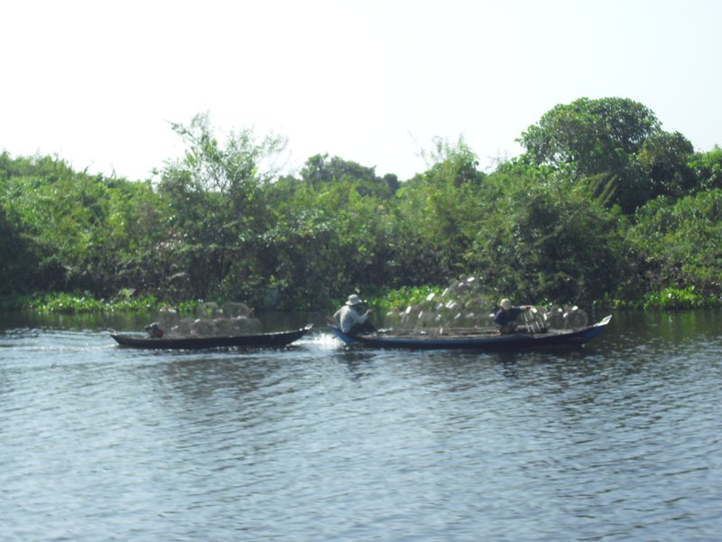 Image CIMG3517.JPG