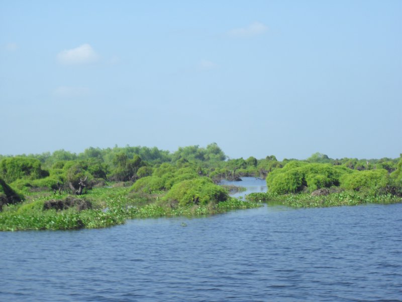 Image CIMG3519.JPG