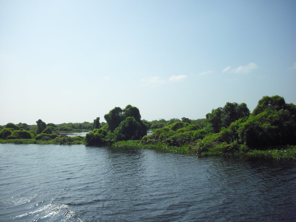 Image CIMG3520.JPG