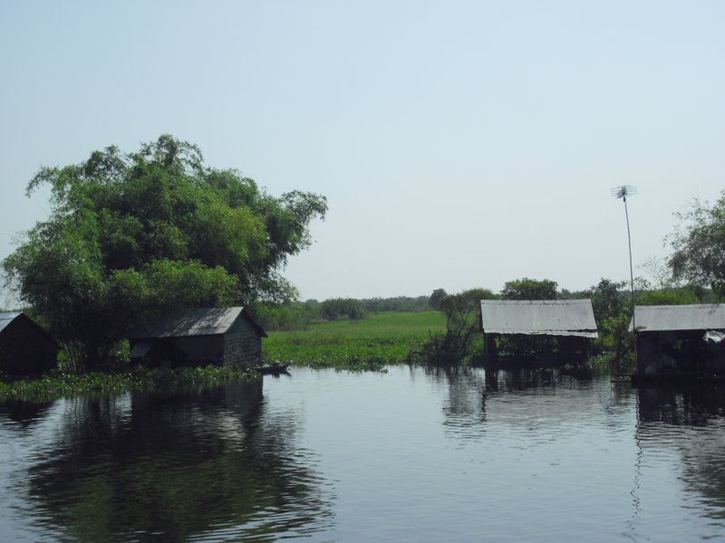 Image CIMG3524.JPG