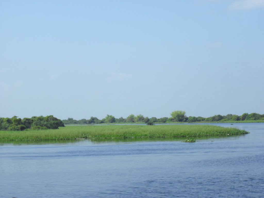 Image CIMG3528.JPG