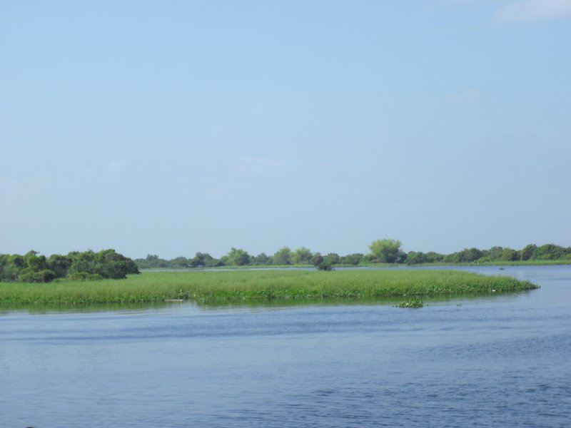 Image CIMG3528.JPG