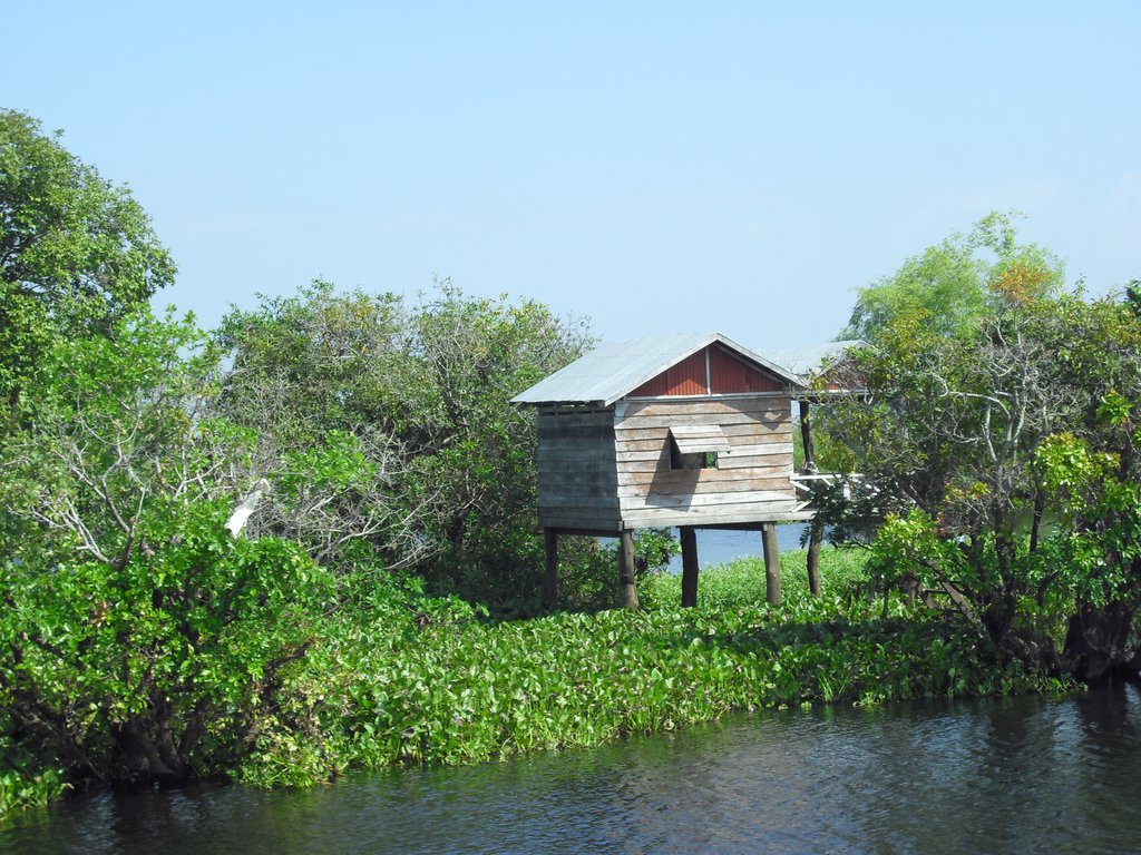 Image CIMG3529.JPG