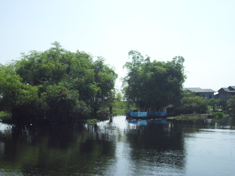 Image CIMG3531.JPG